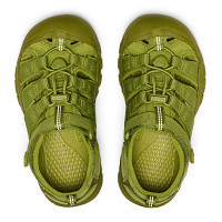 Buty sandały sportowe dziecięce Keen Newport H2 Golden Cypress Monochrome Youth 2026