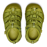 Buty sandały sportowe dziecięce Keen Newport H2 Golden Cypress Monochrome Youth 2026