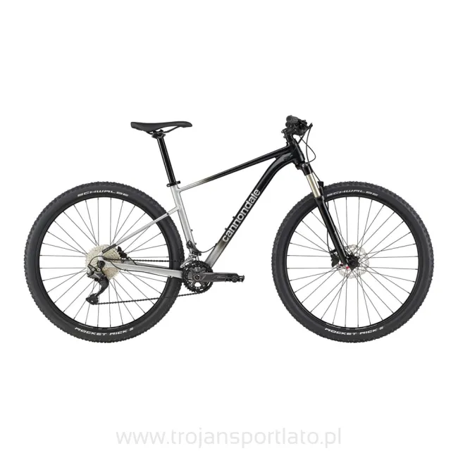 Rower Cannondale Trail SL 4 Grey 29